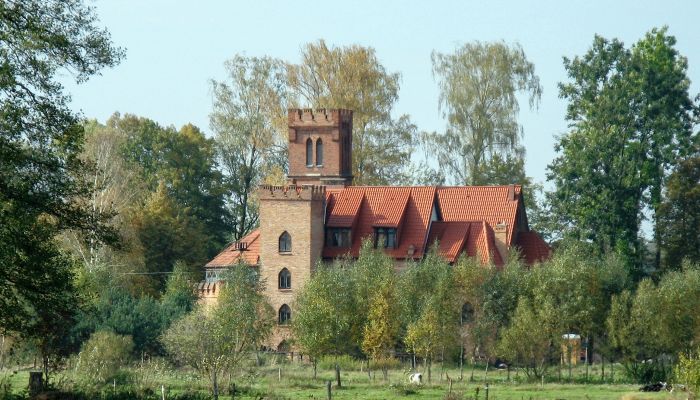  Opaleniec 1