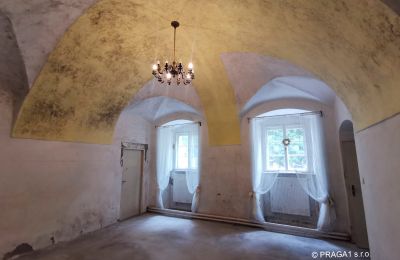 Château à vendre Opava, Moravskoslezský kraj:  