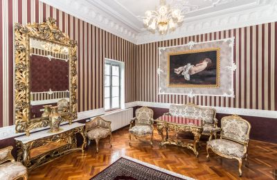 Château à vendre Szombathely, Comitat de Vas:  