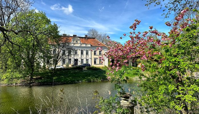 Château à vendre Gola, Grande-Pologne