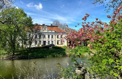 Château à vendre Gola, Grande-Pologne, Image 2/42