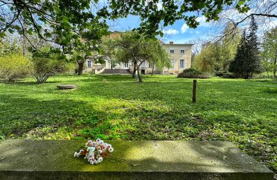 Château à vendre Gola, Grande-Pologne, Image 5/42
