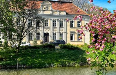 Château Gola, Grande-Pologne