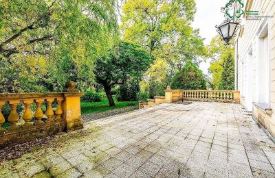 Château à vendre Gola, Grande-Pologne, Image 38/42