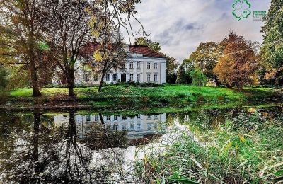 Château à vendre Gola, Grande-Pologne:  