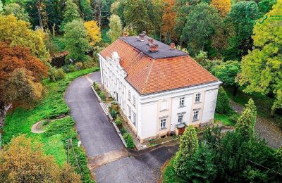 Château à vendre Gola, Grande-Pologne:  Drone