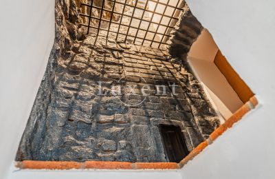 Château médiéval à vendre Třebotov, Třebotov tvrz, Středočeský kraj, Image 22/36