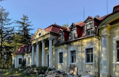 Château à vendre Skoraszewice, Skoraszewice  16, Grande-Pologne:  