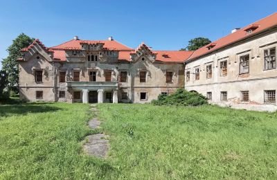 Château à vendre Karlovarský kraj:  