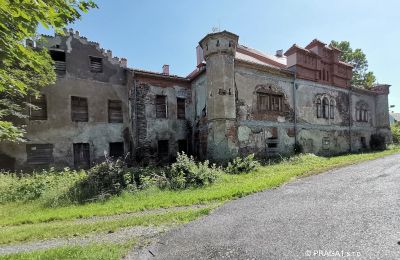 Château à vendre Karlovarský kraj:  Außenansicht