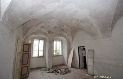 Château à vendre Karlovarský kraj, Image 9/16