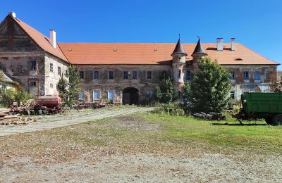 Château à vendre Karlovarský kraj, Vue extérieure