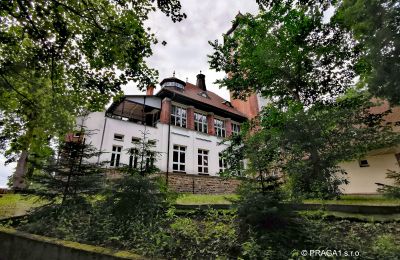 Demeure historique à vendre Karlovy Vary, Karlovarský kraj, Image 3/10