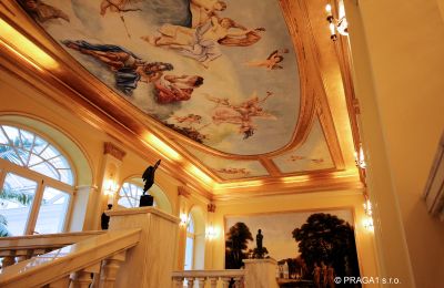 Château à vendre Hlavní město Praha, Vestibule