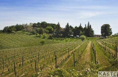 Demeure historique à vendre Piémont, Image 13/16