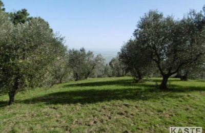 Maison de campagne à vendre Rivalto, Toscane:  