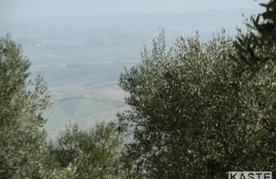 Maison de campagne à vendre Rivalto, Toscane:  