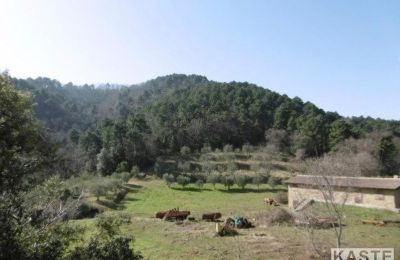 Maison de campagne à vendre Rivalto, Toscane, Image 12/15