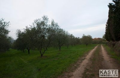Monastère à vendre Peccioli, Toscane, Image 14/28