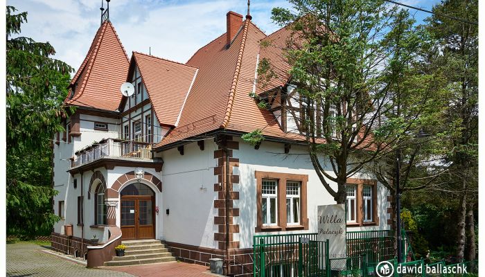 Villa historique Świeradów-Zdrój 2