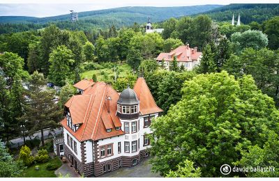 Villa historique à vendre Świeradów-Zdrój, Piastowaska 9, Basse-Silésie:  