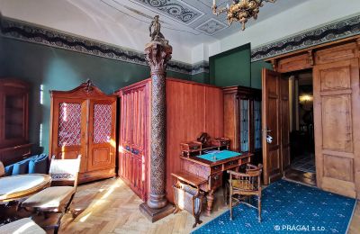 Château à vendre Jihočeský kraj, Image 16/21
