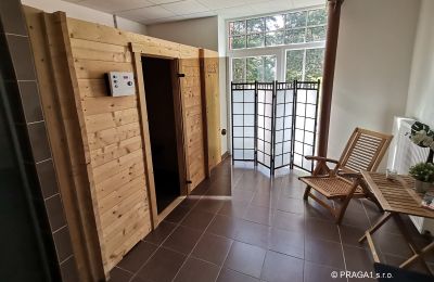 Château à vendre Jihočeský kraj, Image 18/21