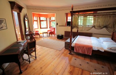 Château à vendre Jihočeský kraj, Image 13/21