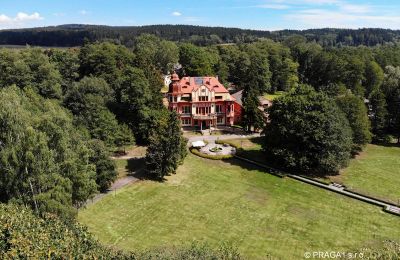 Château à vendre Jihočeský kraj:  Drone