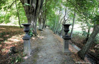 Château à vendre Jihočeský kraj, Parc