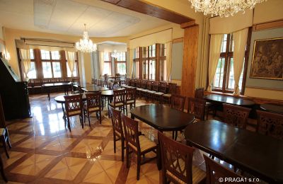 Château à vendre Jihočeský kraj, Image 10/21