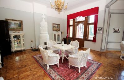 Château à vendre Jihočeský kraj, Image 6/21