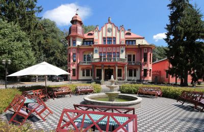 Château à vendre Jihočeský kraj, Vue frontale
