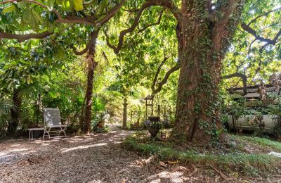 Demeure historique à vendre Verbano-Cusio-Ossola, Pallanza, Piémont, Jardin