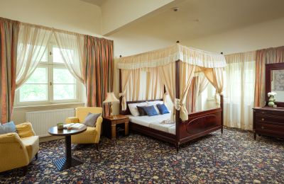 Château à vendre Samotwór, Basse-Silésie, Image 18/25