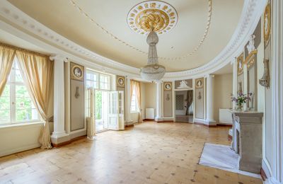 Château à vendre Samotwór, Basse-Silésie, Image 8/25