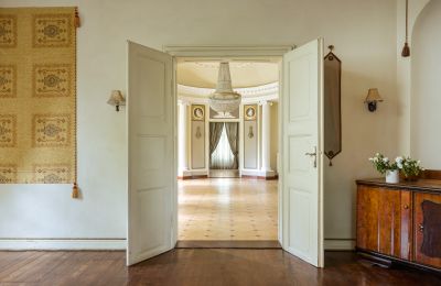 Château à vendre Samotwór, Basse-Silésie, Image 9/25