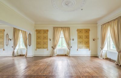 Château à vendre Samotwór, Basse-Silésie, Image 14/25