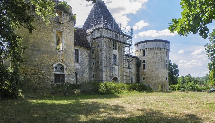 Château médiéval à vendre Périgueux, Nouvelle-Aquitaine,  France