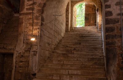 Château à vendre Bade-Wurtemberg:  Treppe in Gewölbekeller