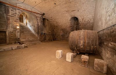 Château à vendre Bade-Wurtemberg, Gewölbe-/Weinkeller