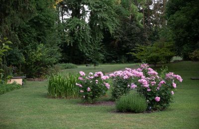 Château à vendre Bade-Wurtemberg:  Park