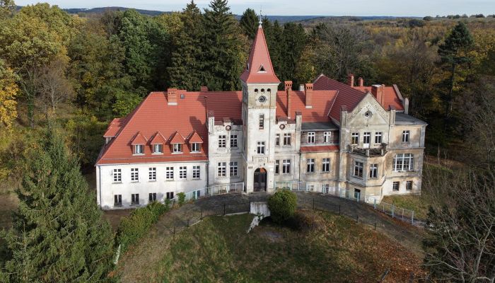 Château à vendre Grabiszyce Średnie, Basse-Silésie,  Pologne