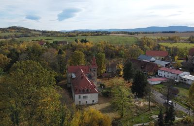 Château à vendre Grabiszyce Średnie, ul. Baworowo 14, Basse-Silésie:  Drone