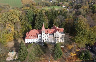 Château à vendre Grabiszyce Średnie, ul. Baworowo 14, Basse-Silésie:  