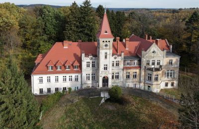 Château à vendre Grabiszyce Średnie, ul. Baworowo 14, Basse-Silésie:  Vue frontale