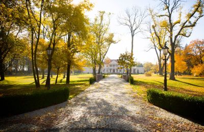 Propriétés, Manoir et parc à Zborów, région de Grande-Pologne