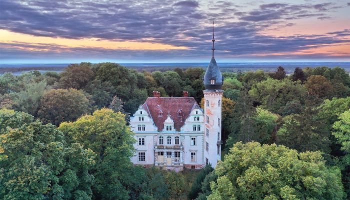 Château à vendre Kruszewo, Grande-Pologne