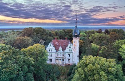 Propriétés, Magnifique château à vendre en Pologne: Kruszewo