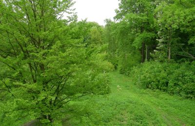 Château à vendre Gwoździany, Spółdzielcza 4a, Silésie:  